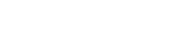 Paladin Logo